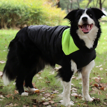 Зимняя жилетка куртка для выгула собак Duo зеленая, XS-8