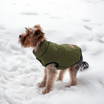 Зимняя куртка (жилетка) для выгула собак Hitvest S зеленый-3